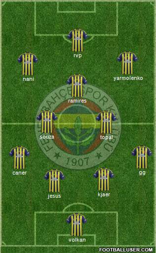 Fenerbahçe SK Formation 2015