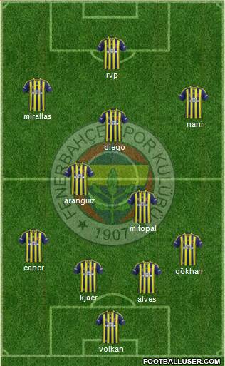 Fenerbahçe SK Formation 2015