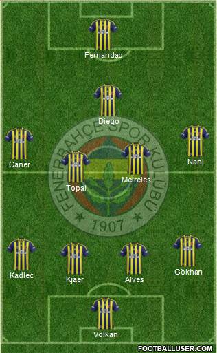 Fenerbahçe SK Formation 2015