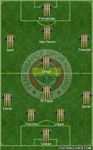 Fenerbahçe SK Formation 2015