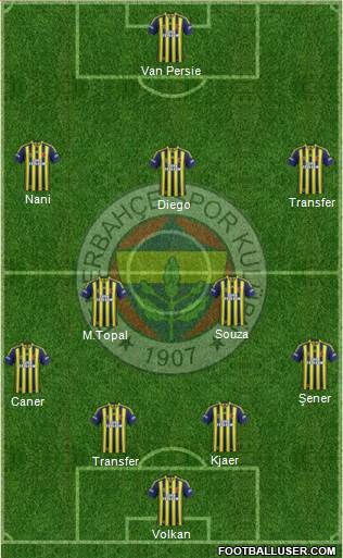Fenerbahçe SK Formation 2015