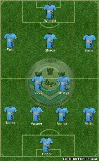Tours Football Club Formation 2015