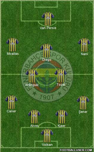 Fenerbahçe SK Formation 2015