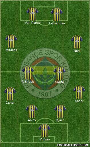 Fenerbahçe SK Formation 2015
