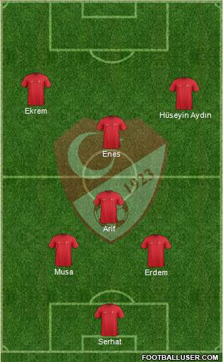 Turkey Formation 2015