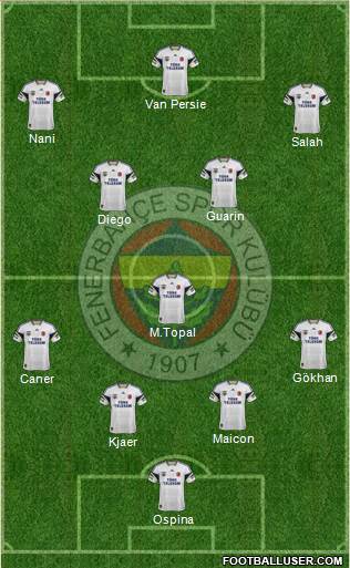 Fenerbahçe SK Formation 2015