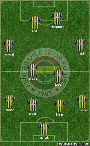 Fenerbahçe SK Formation 2015