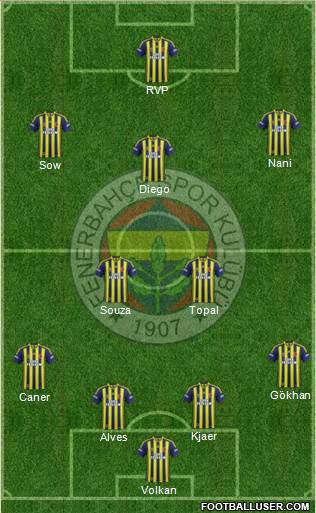Fenerbahçe SK Formation 2015