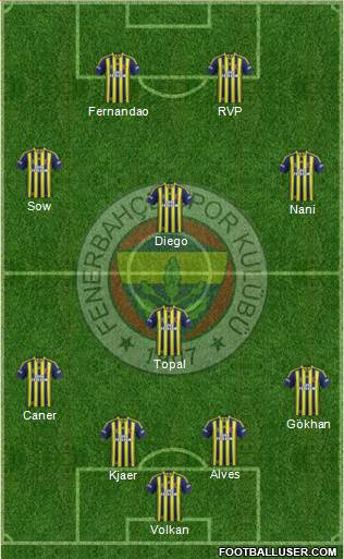 Fenerbahçe SK Formation 2015