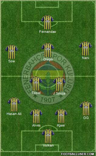 Fenerbahçe SK Formation 2015