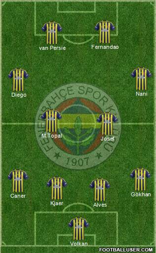 Fenerbahçe SK Formation 2015