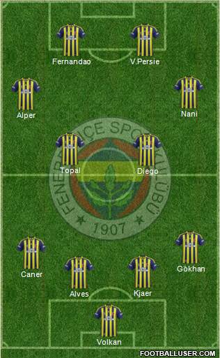 Fenerbahçe SK Formation 2015