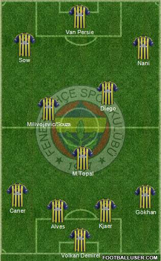 Fenerbahçe SK Formation 2015
