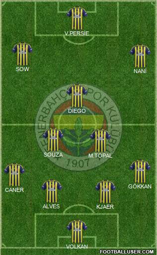 Fenerbahçe SK Formation 2015