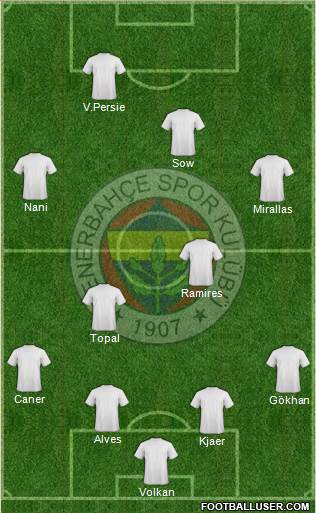 Fenerbahçe SK Formation 2015