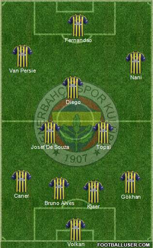 Fenerbahçe SK Formation 2015