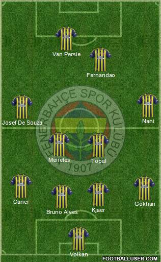 Fenerbahçe SK Formation 2015