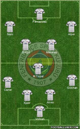 Fenerbahçe SK Formation 2015