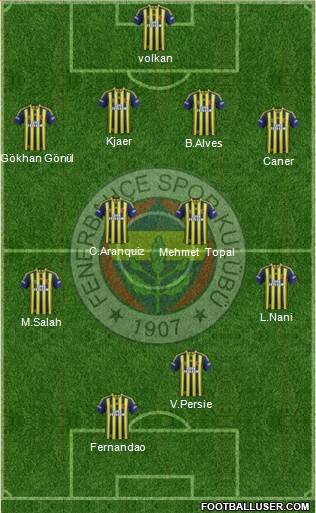 Fenerbahçe SK Formation 2015