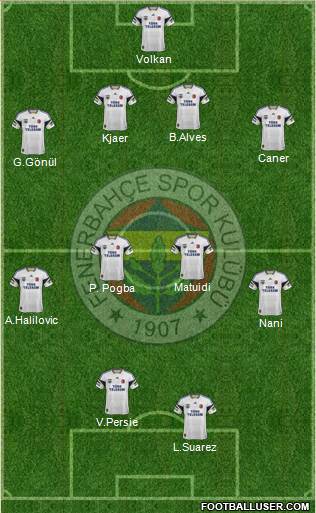 Fenerbahçe SK Formation 2015