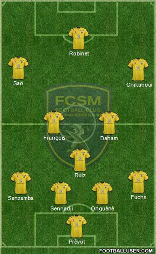 FC Sochaux-Montbéliard Formation 2015