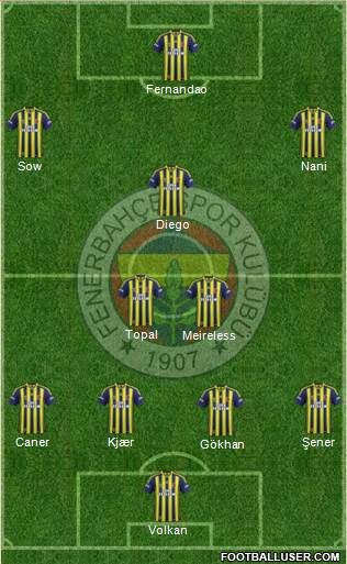 Fenerbahçe SK Formation 2015