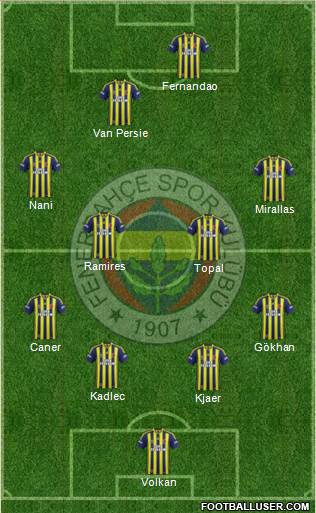 Fenerbahçe SK Formation 2015