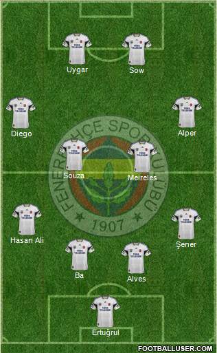 Fenerbahçe SK Formation 2015