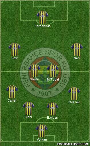 Fenerbahçe SK Formation 2015