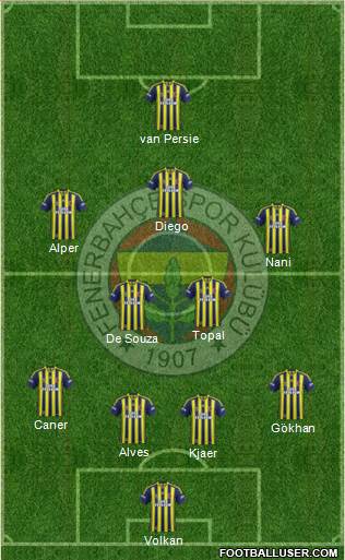 Fenerbahçe SK Formation 2015