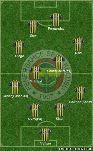 Fenerbahçe SK Formation 2015