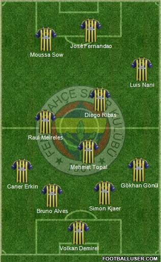 Fenerbahçe SK Formation 2015