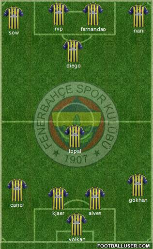 Fenerbahçe SK Formation 2015