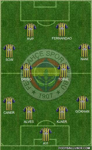 Fenerbahçe SK Formation 2015