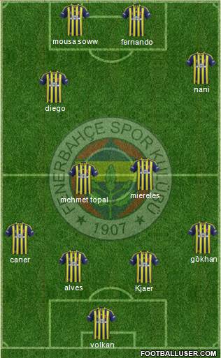 Fenerbahçe SK Formation 2015