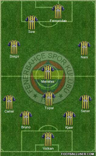 Fenerbahçe SK Formation 2015