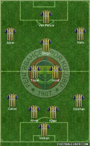 Fenerbahçe SK Formation 2015