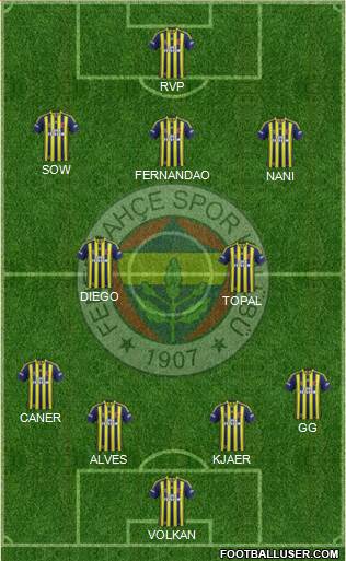 Fenerbahçe SK Formation 2015