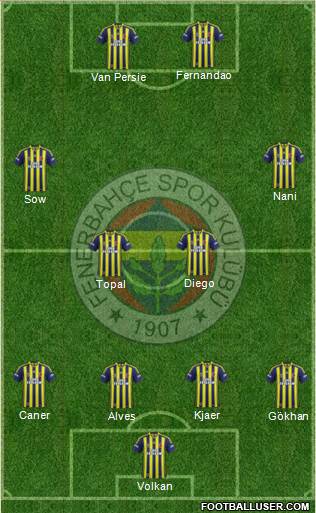 Fenerbahçe SK Formation 2015