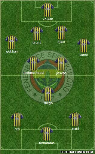 Fenerbahçe SK Formation 2015