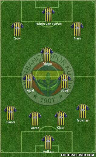 Fenerbahçe SK Formation 2015