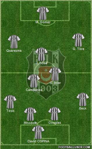 Besiktas JK Formation 2015