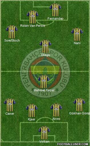 Fenerbahçe SK Formation 2015