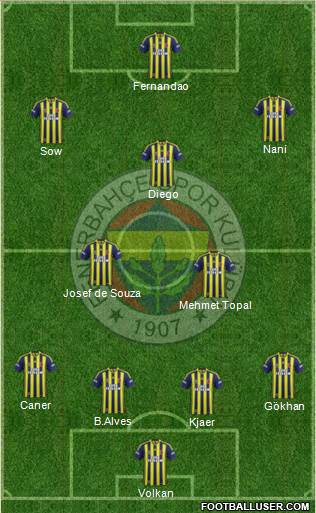 Fenerbahçe SK Formation 2015