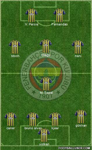 Fenerbahçe SK Formation 2015