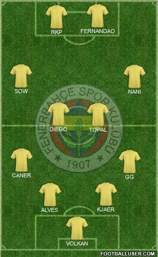 Fenerbahçe SK Formation 2015