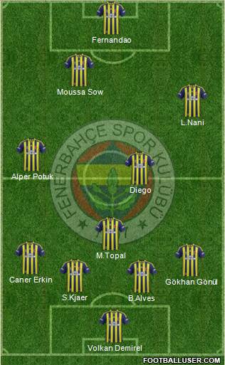 Fenerbahçe SK Formation 2015