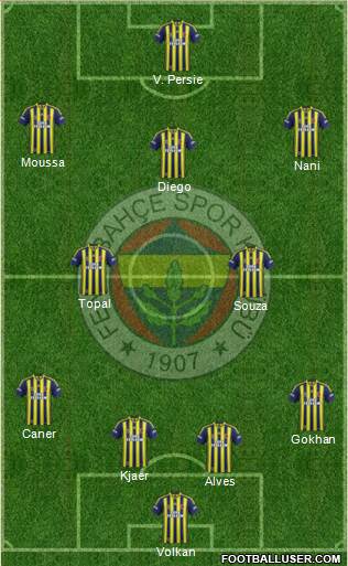 Fenerbahçe SK Formation 2015