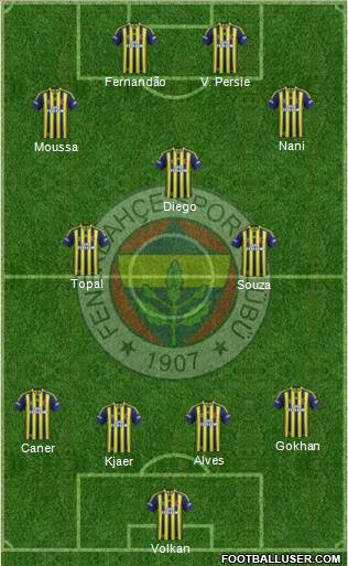 Fenerbahçe SK Formation 2015