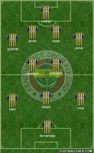 Fenerbahçe SK Formation 2015